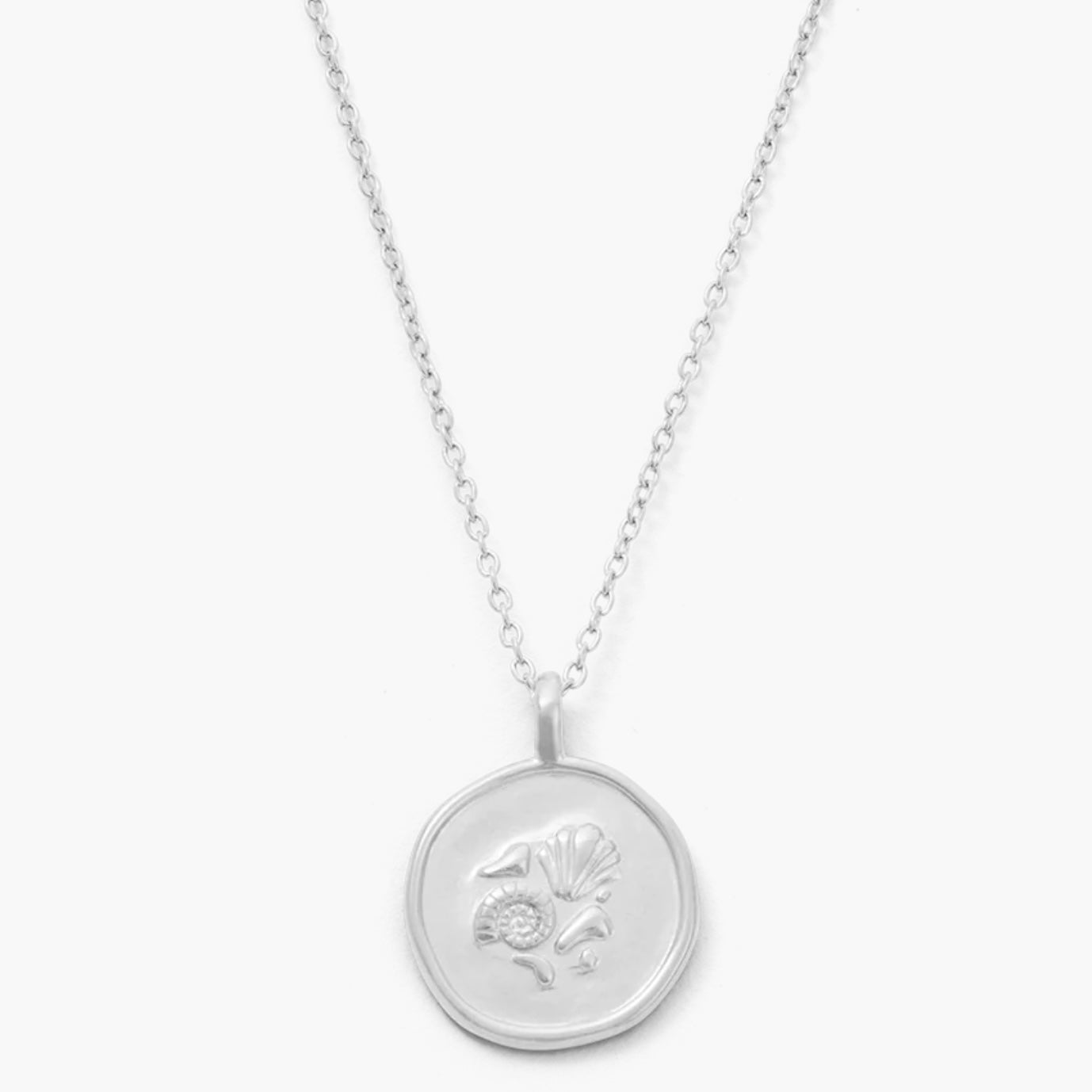 Kirstin Ash - Memoir Coin Necklace in Silver