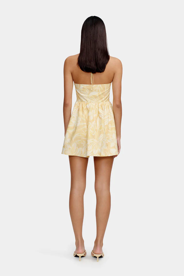 Ownley - Winona Mini Dress in Banana Split