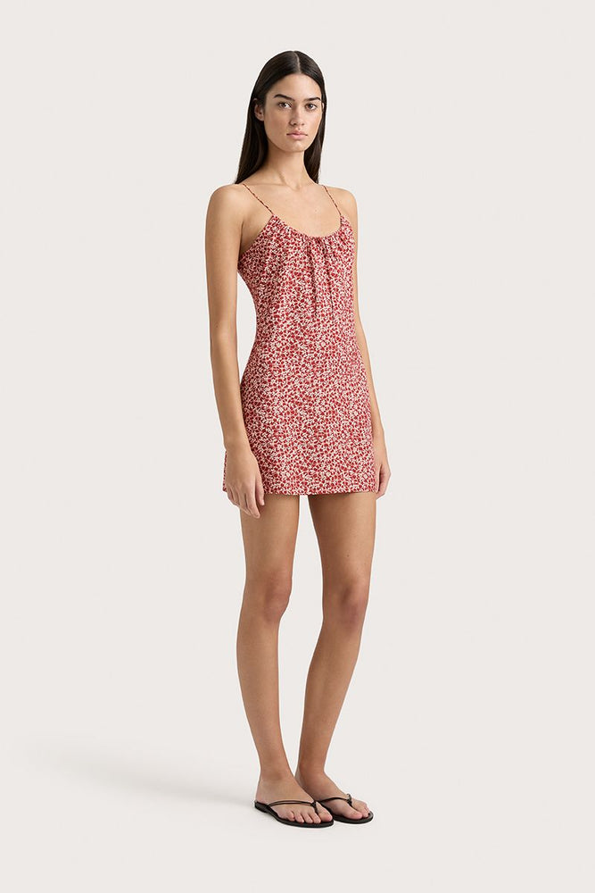 
                      
                        Faithfull The Brand - Pau Mini Dress in Peony Stampgarnet
                      
                    