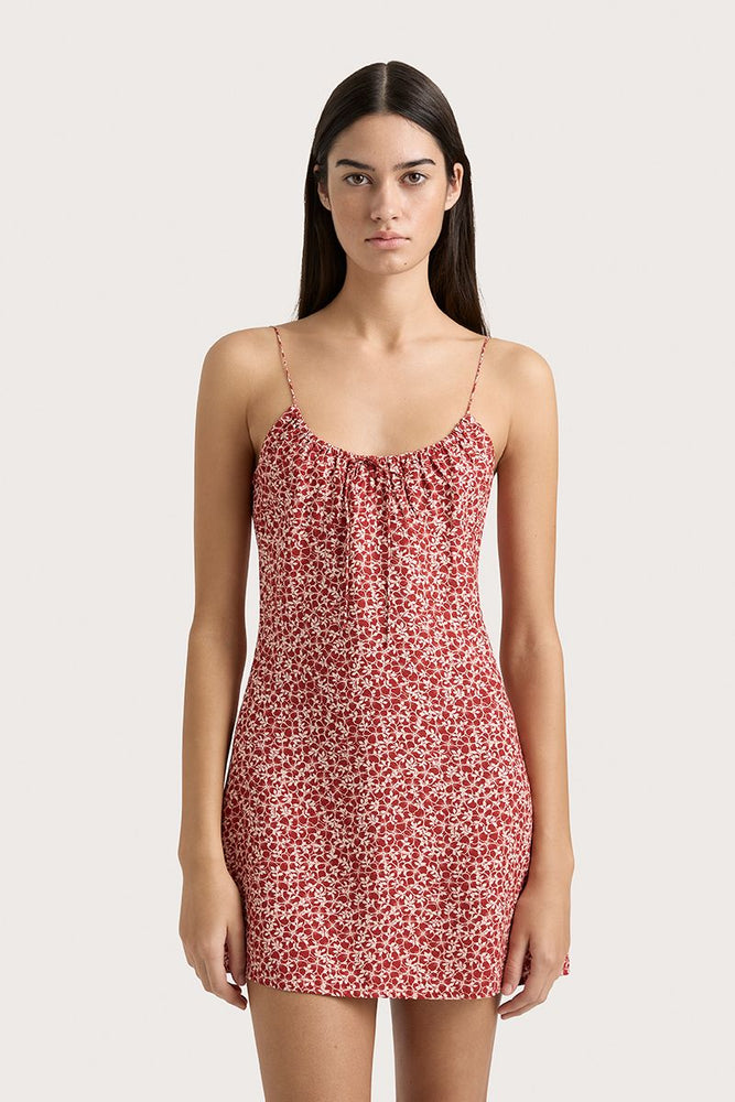 
                      
                        Faithfull The Brand - Pau Mini Dress in Peony Stampgarnet
                      
                    